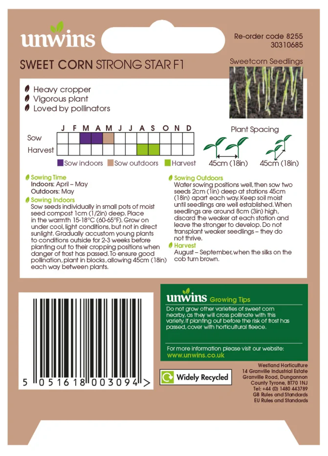 Unwins Sweetcorn Strong Star F1 Seeds - Image 2