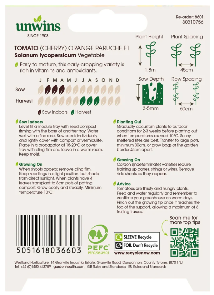 Unwins Cherry Tomato Orange Paruche F1 Seeds - Image 2
