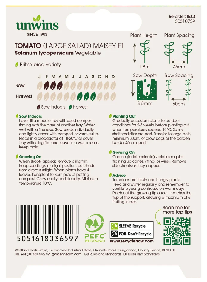 Unwins Large Salad Tomato Maisey F1 Seeds - Image 2