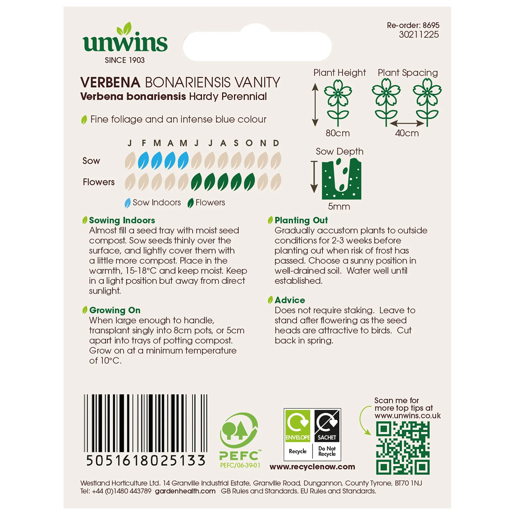 Unwins Verbena Bonariensis Vanity Seeds - Image 2