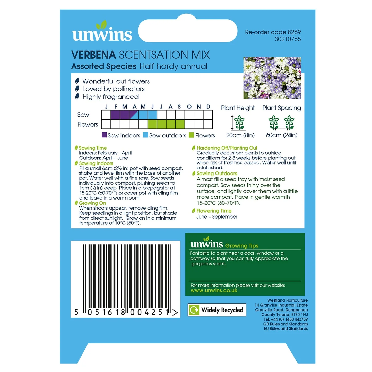 Unwins Verbena Scentsation Mix - Image 2