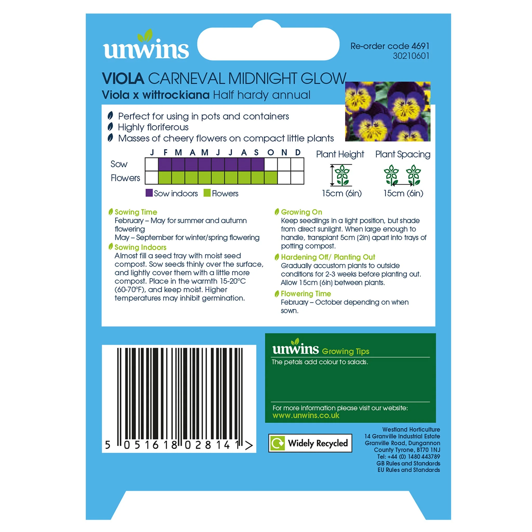 Unwins Viola Carneval Midnight Glow F1 - Image 2
