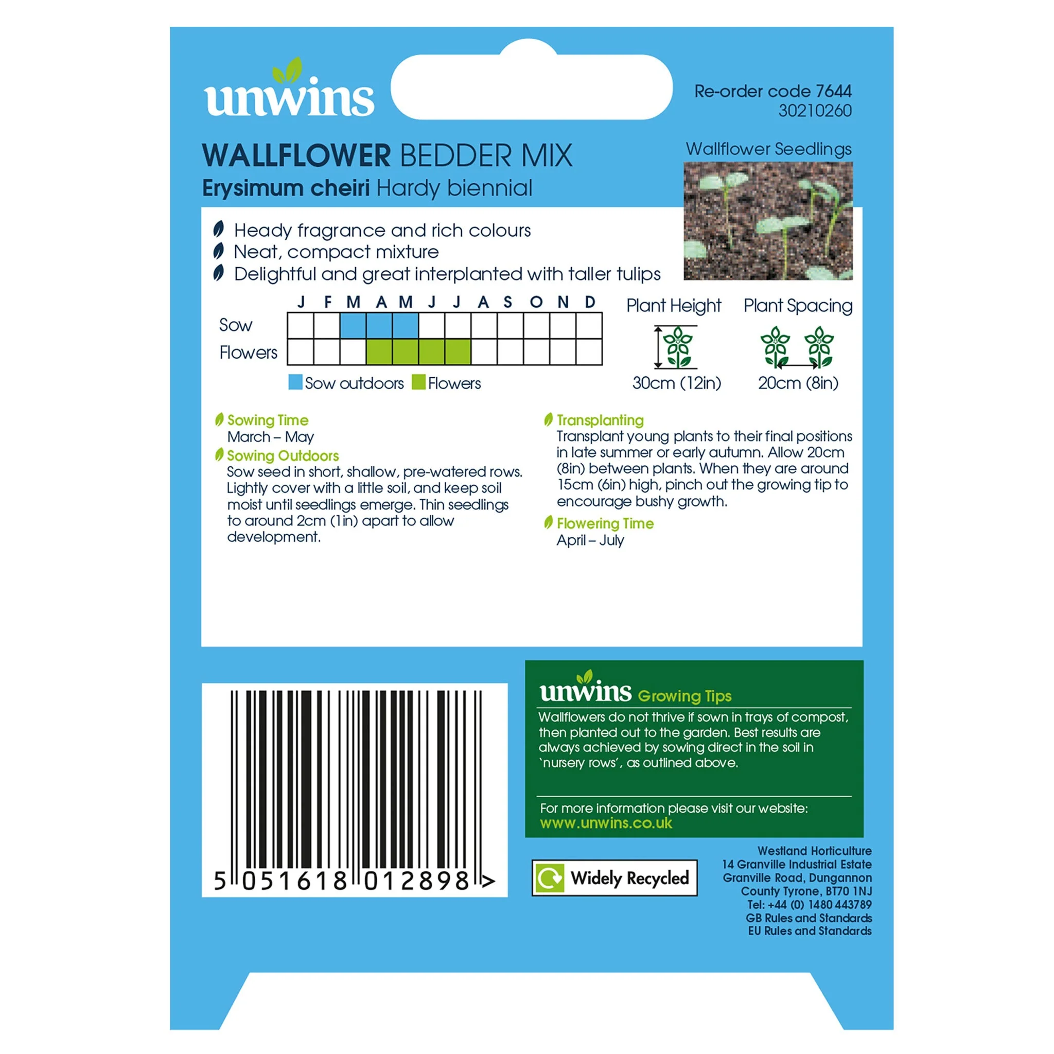 Unwins Wallflower Bedder Mix - Image 2