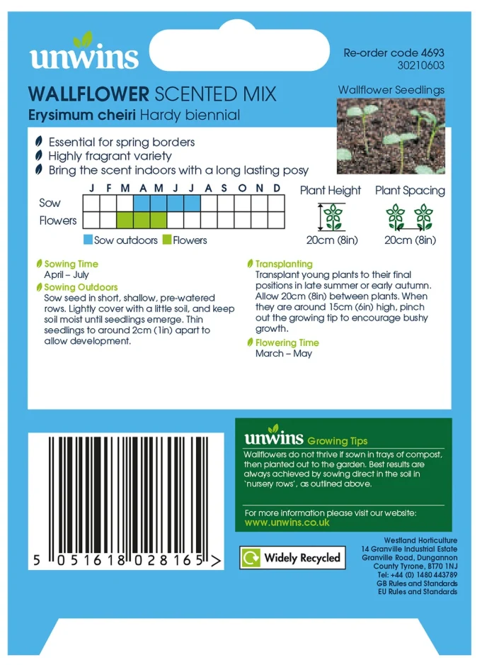 Unwins Wallflower Scented Mix Seeds - Image 2