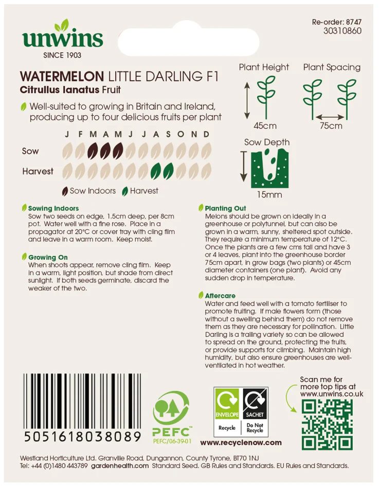Unwins Watermelon Little Darling F1 - Image 2