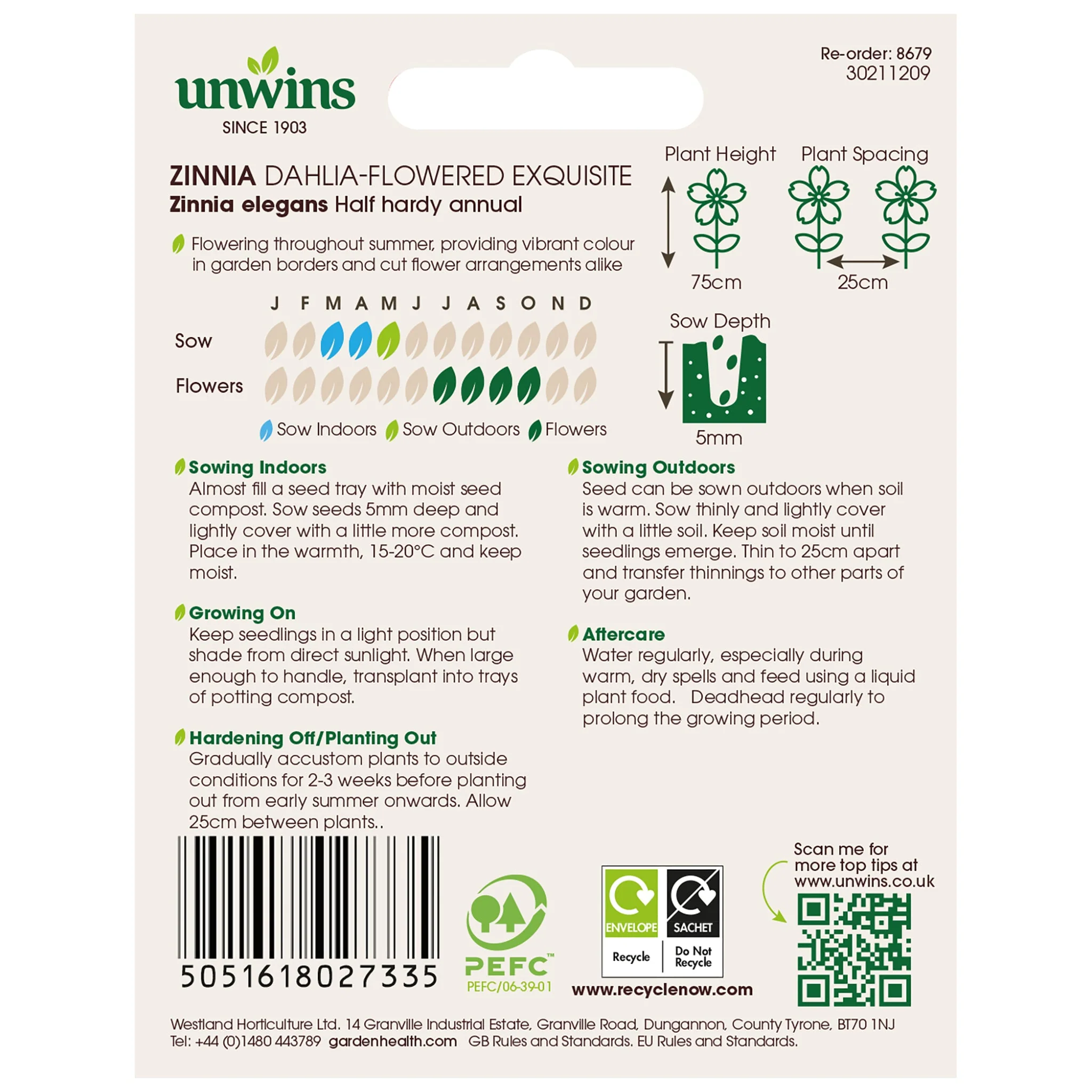 Unwins Zinnia Dahlia-flowered Exquisite - Image 2