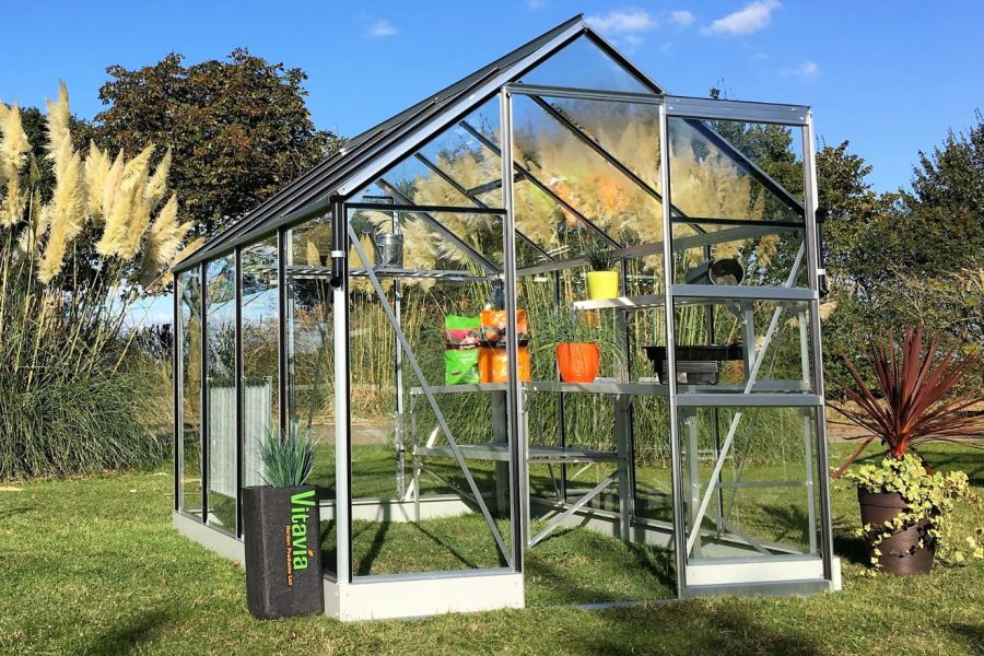 Vitavia Apollo Greenhouse - Image 4