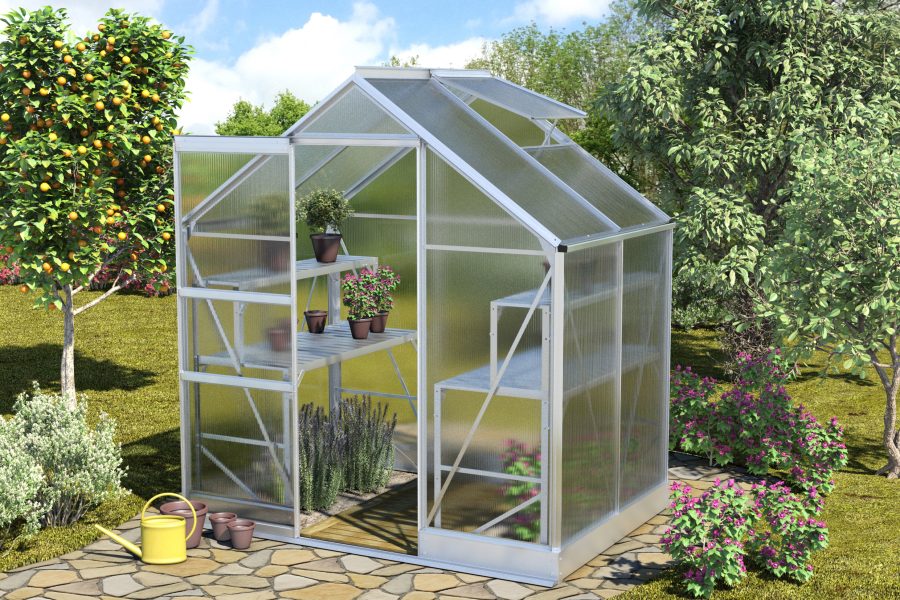 Vitavia Apollo Greenhouse - Image 6