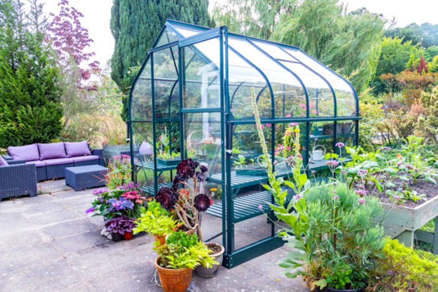 Vitavia Orion Greenhouse - Image 3