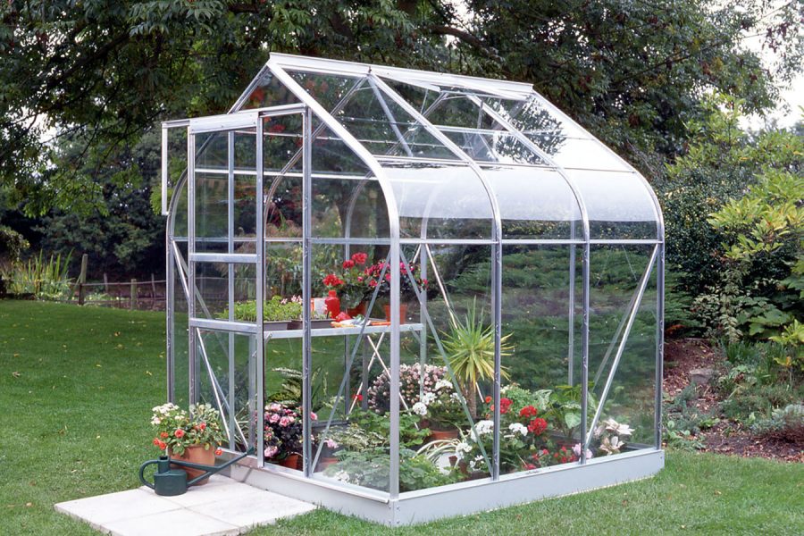 Vitavia Orion Greenhouse - Image 4