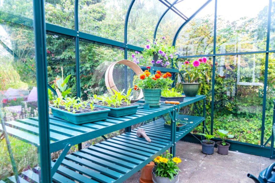 Vitavia Orion Greenhouse - Image 7