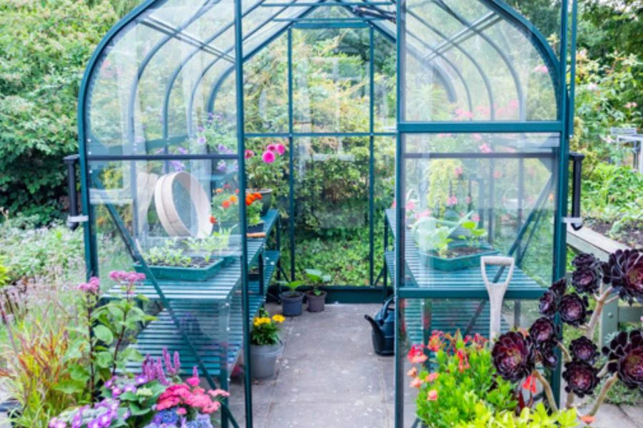 Vitavia Orion Greenhouse - Image 8