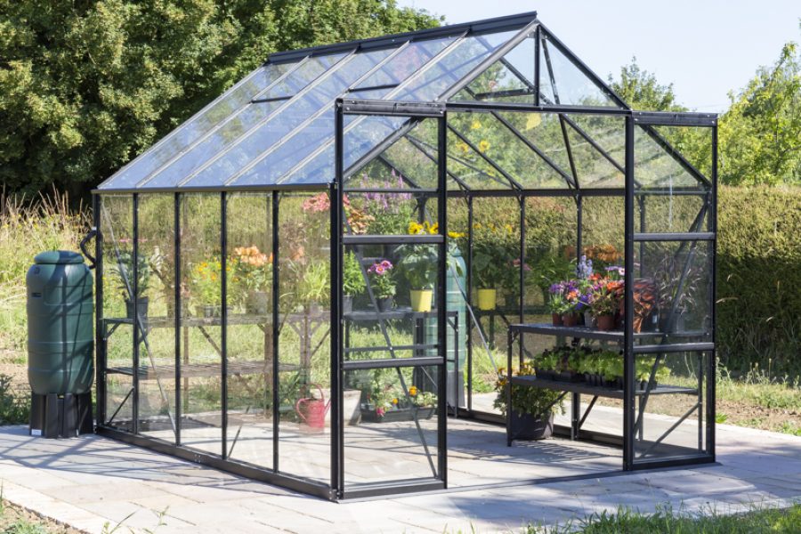 Vitavia Phoenix Greenhouse - Image 5