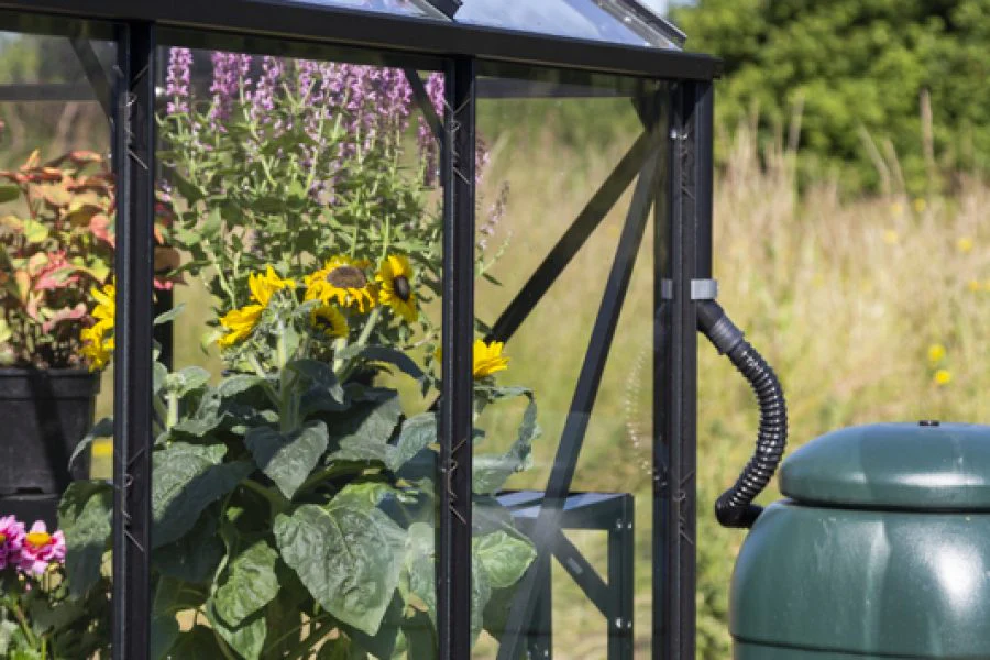 Vitavia Phoenix Greenhouse - Image 6