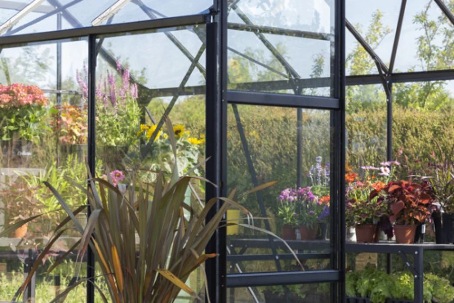 Vitavia Phoenix Greenhouse - Image 8