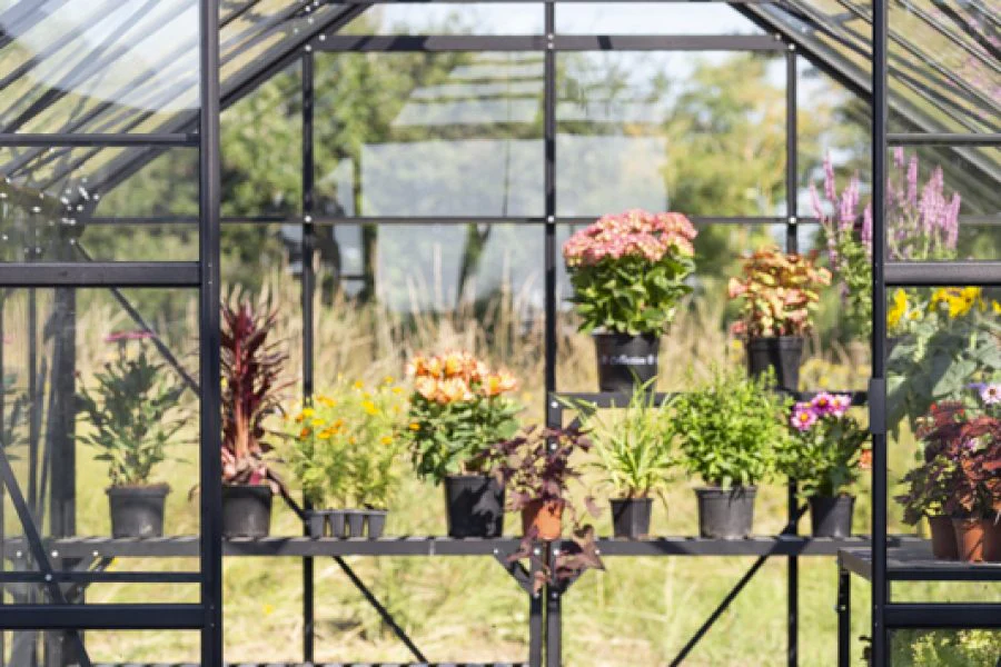 Vitavia Phoenix Greenhouse - Image 9