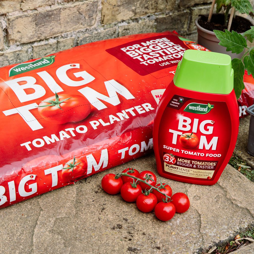 Westland Big Tom Peat Free Tomato Planter - Image 2