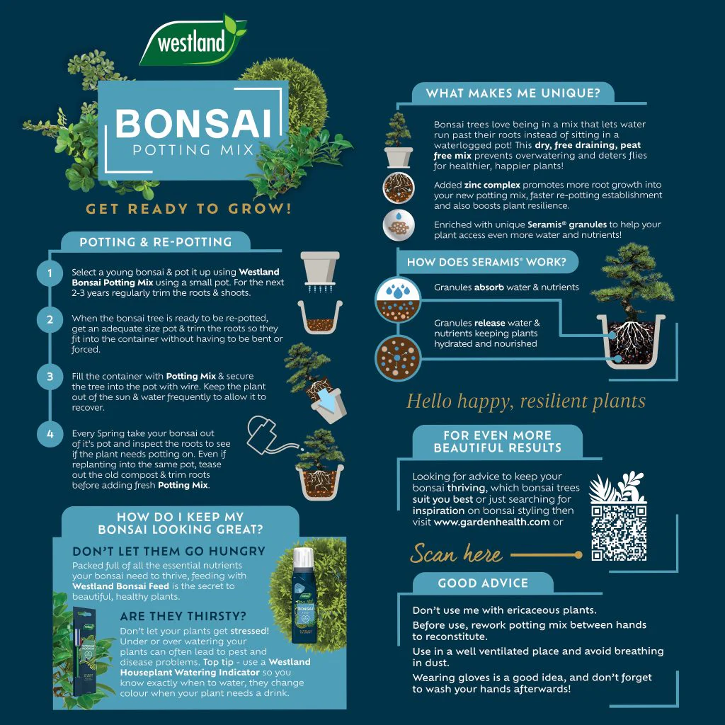Westland Bonsai Potting Mix 4L - Image 3