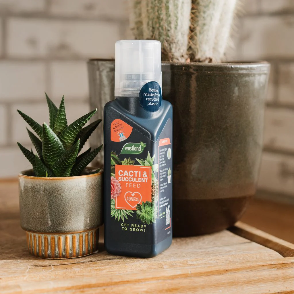 Westland Cacti & Succulent Feed Concentrate 200ml - Image 3