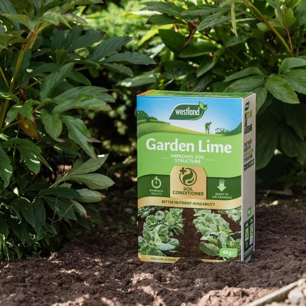 Westland Garden Lime 4kg - Image 2