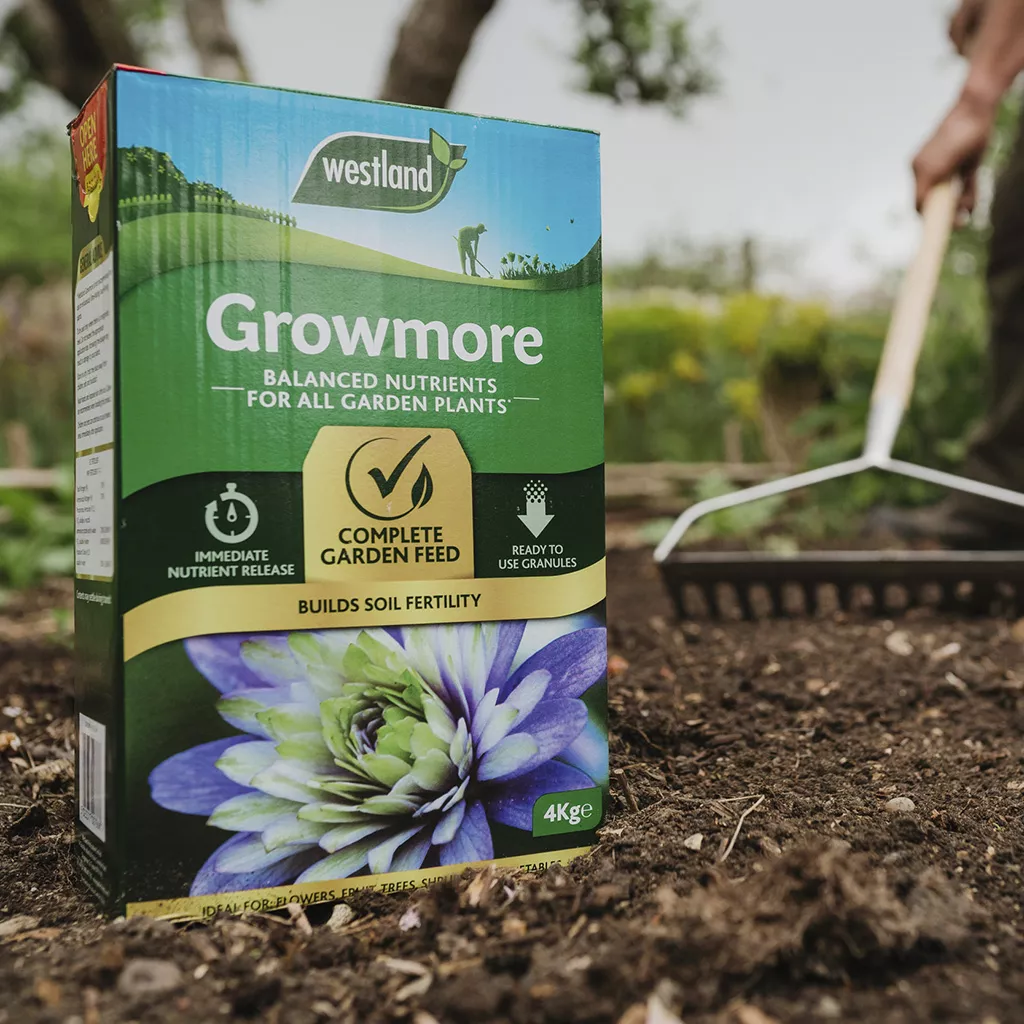 Westland Growmore  4kg - Image 2