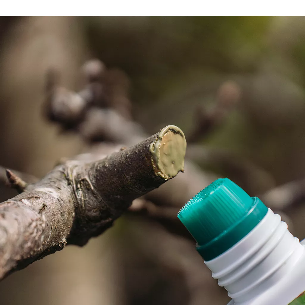 Growing Success Prune & Seal 250ml - Image 2