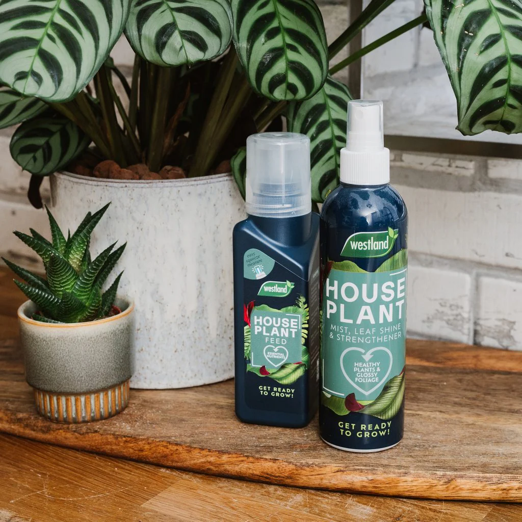 Westland Houseplant Mist & Leaf Shine 250ml - Image 3