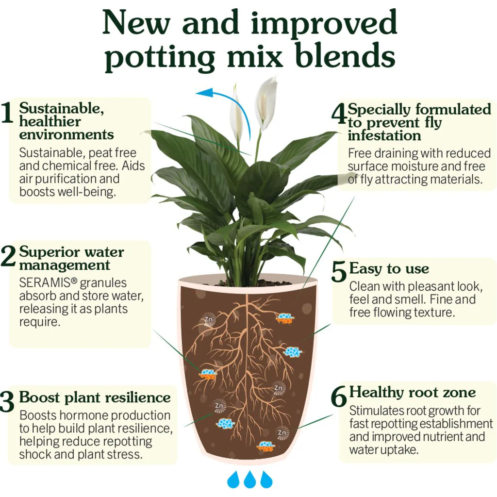 Westland Houseplant Potting Mix 4L - Image 3