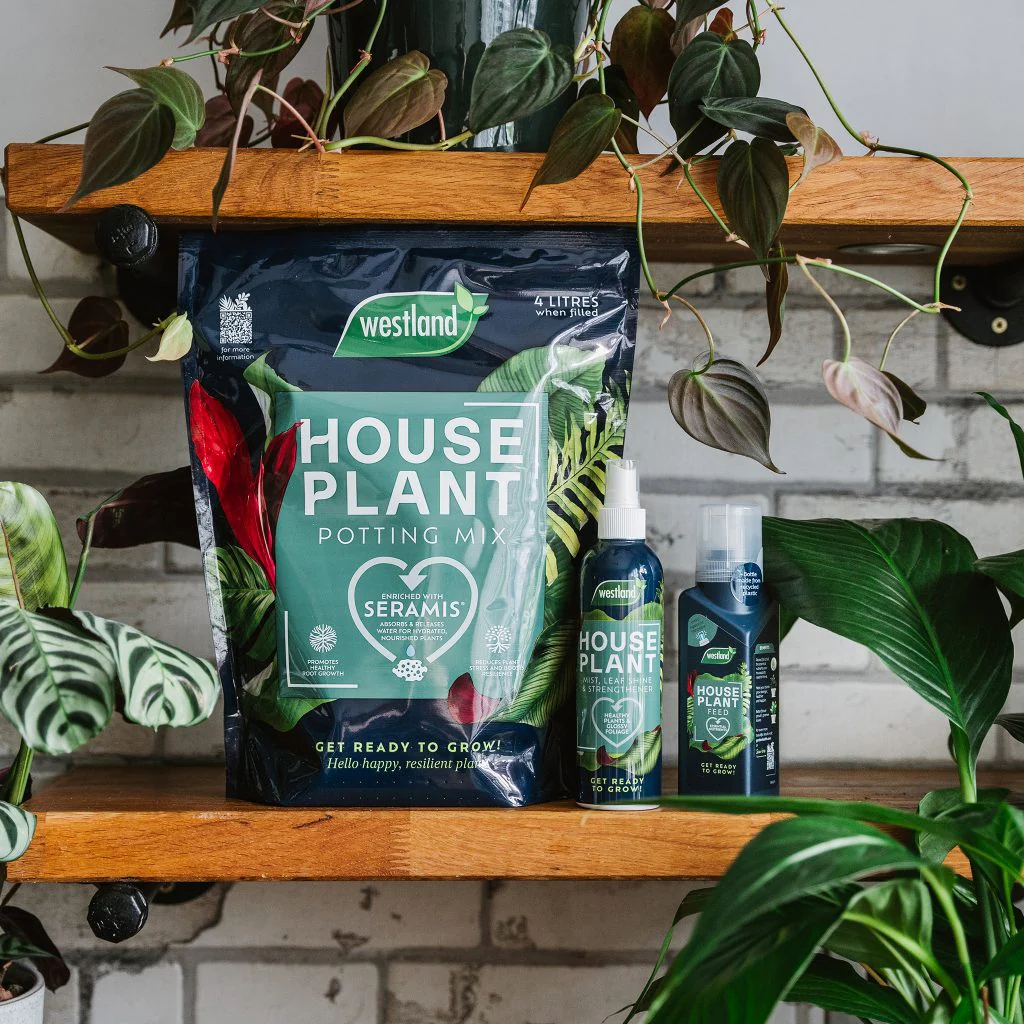 Westland Houseplant Potting Mix 4L - Image 2