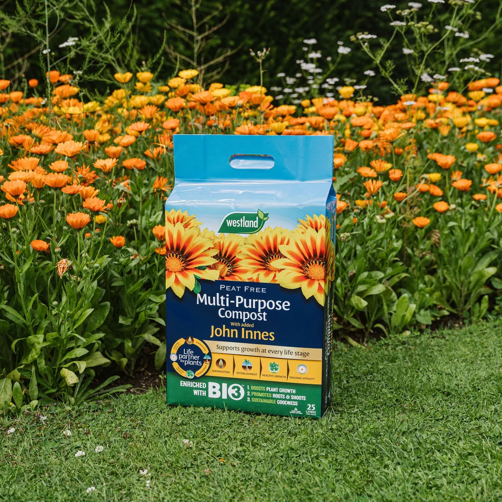 Westland Peat Free Multi-Purpose Compost with John Innes 10L - Image 2