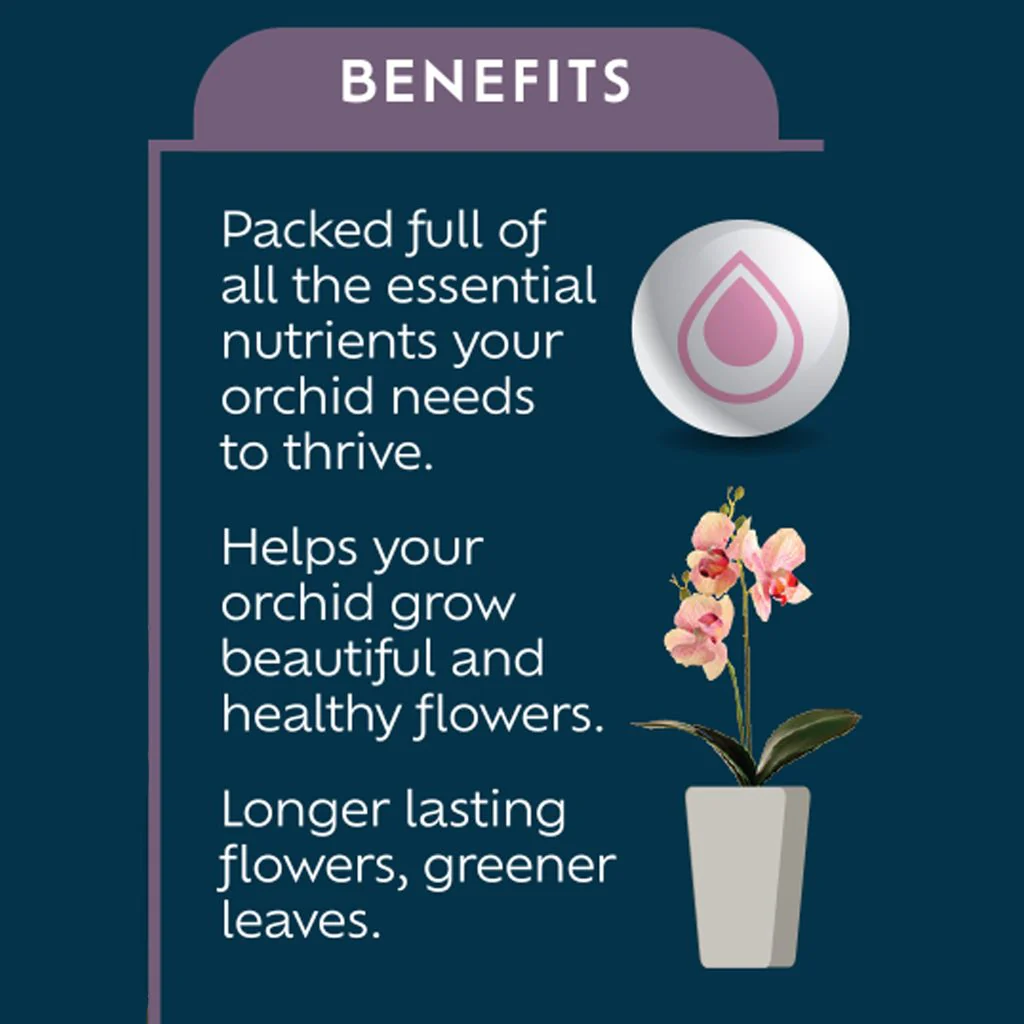 Westland Orchid Feed 200ml - Image 2