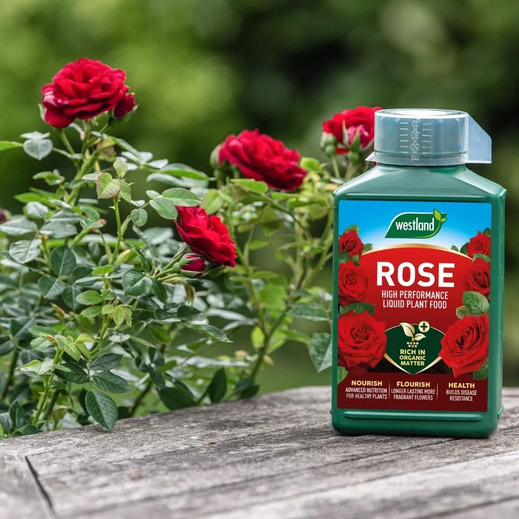 Westland Rose High Performance Liquid Plant Food 1L - Image 3