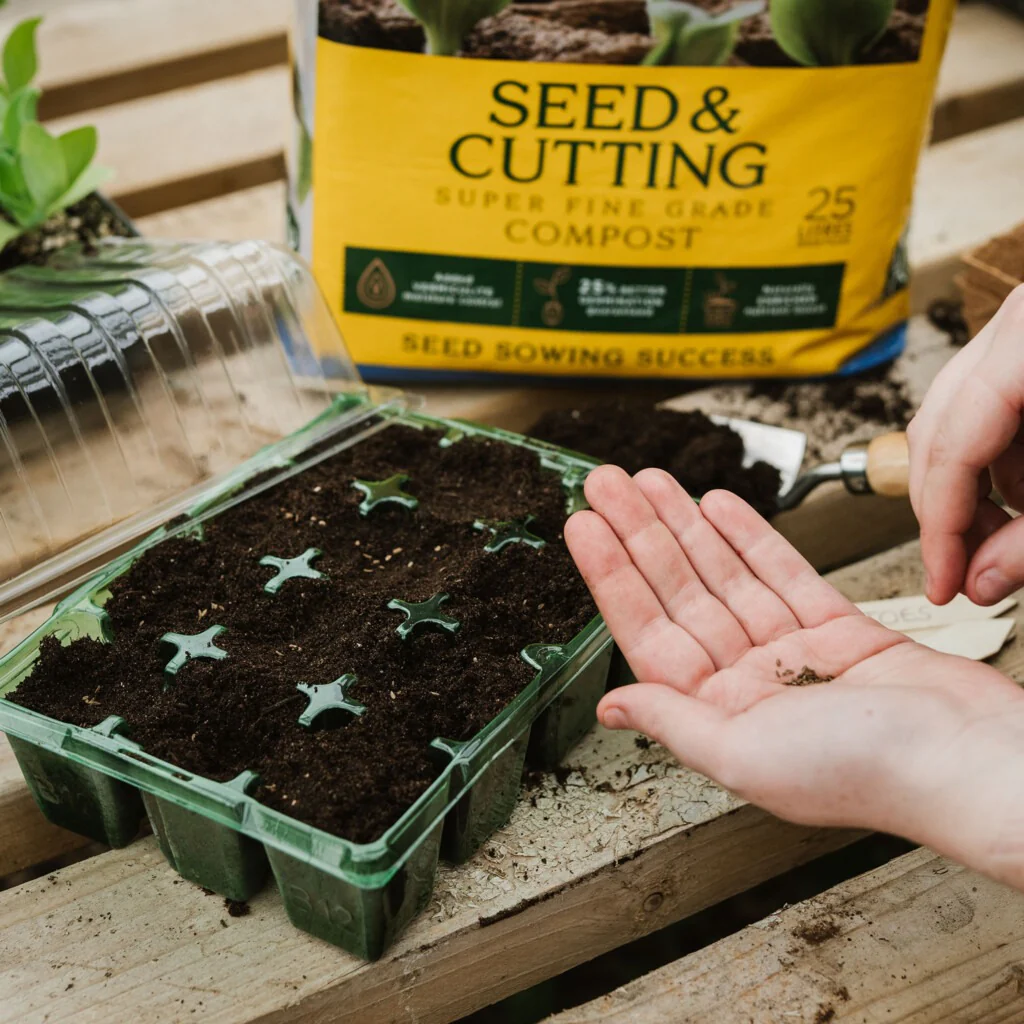 Westland Seed & Cutting Compost 25L - Image 2