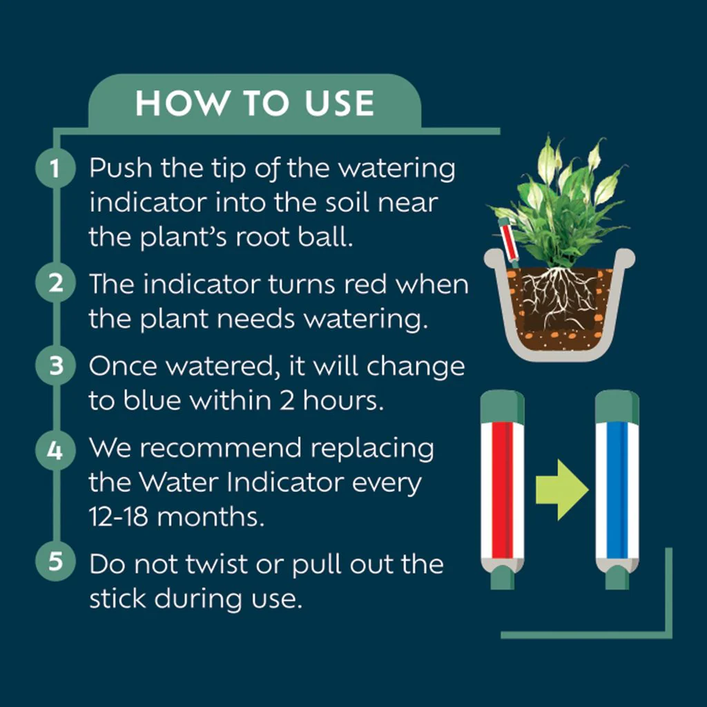 Westland Houseplant Watering Indicator - Image 3