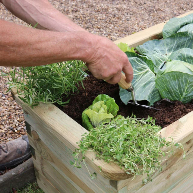 Zest Sleeper Raised Veg Bed | Narrow Raised Bed - Image 2