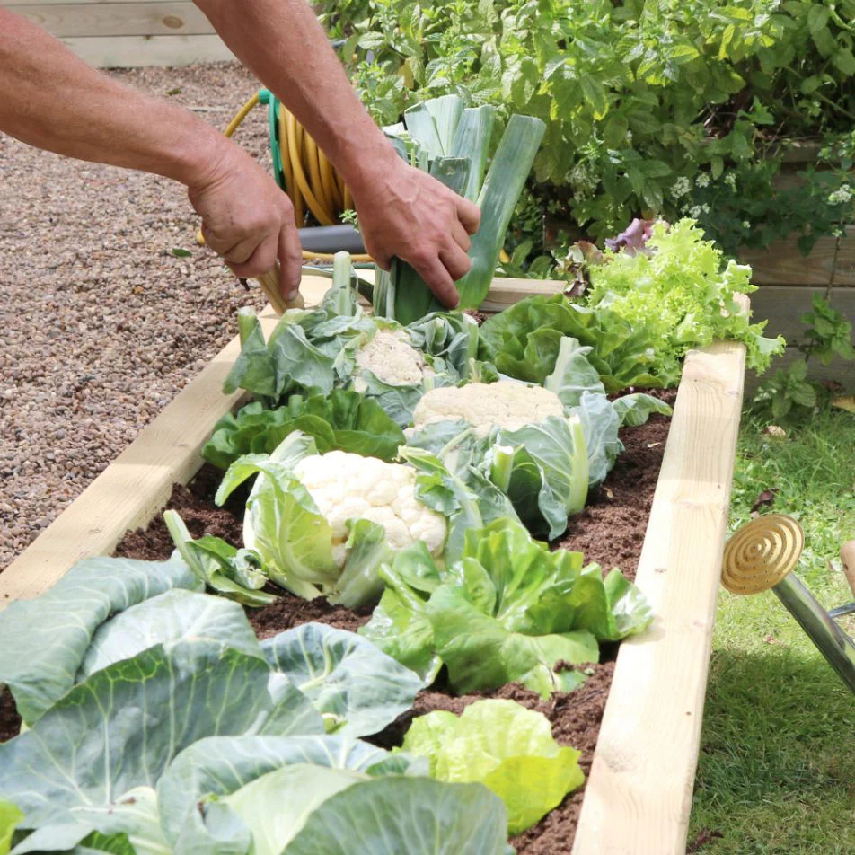 Zest Sleeper Raised Veg Bed | Narrow Raised Bed - Image 3